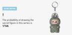 Labubu The Monsters Pin For Love N-Z Display Set